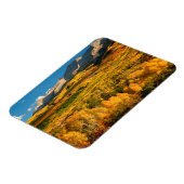 VS, Colorado, Gunnison National Forest Magneet (Linkerzijde)