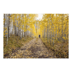 VS, Colorado, Gunnison National Forest nabij Foto Afdruk