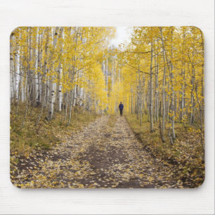 VS, Colorado, Gunnison National Forest nabij Muismat