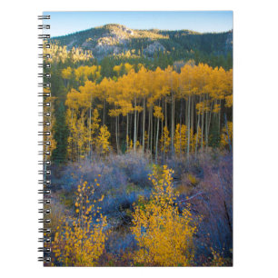 VS, Colorado. Helder gele espes in Rockies Notitieboek