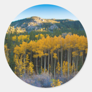 VS, Colorado. Heldergele Espen in Rocky Mountains Ronde Sticker