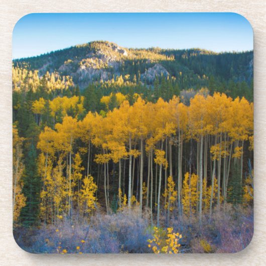 VS, Colorado. Heldergele spens in Rockies Drankjes Onderzetter (Voorkant)