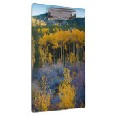 VS, Colorado. Heldergele spens in Rockies Klembord (Rechts)