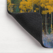 VS, Colorado. Heldergele spens in Rockies Muismat (Hoek)