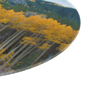 VS, Colorado. Heldergele spens in Rockies Snijplank (Hoek)