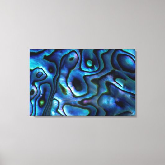 VS, Colorado, Lafayette. Abalone schelp Canvas Afdruk (Voorkant)