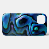 VS, Colorado, Lafayette. Abalone schelp Case-Mate iPhone Case (Achterkant (horizontaal))