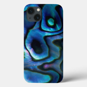 VS, Colorado, Lafayette. Abalone schelp iPhone 13 Hoesje