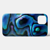 VS, Colorado, Lafayette. Abalone schelp Case-Mate iPhone Case (Achterkant (horizontaal))
