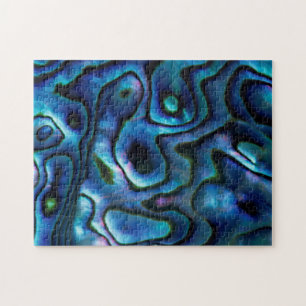 VS, Colorado, Lafayette. Abalone schelp Legpuzzel