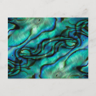 VS, Colorado, Lafayette. Abalone schelp montage Briefkaart