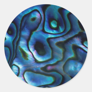VS, Colorado, Lafayette. Abalone schelp Ronde Sticker