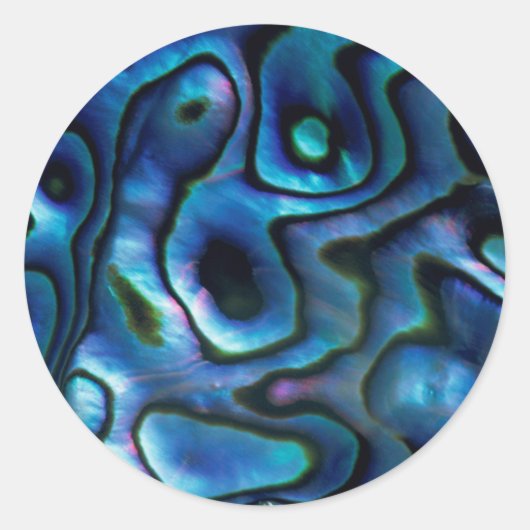 VS, Colorado, Lafayette. Abalone schelp Ronde Sticker (Voorkant)