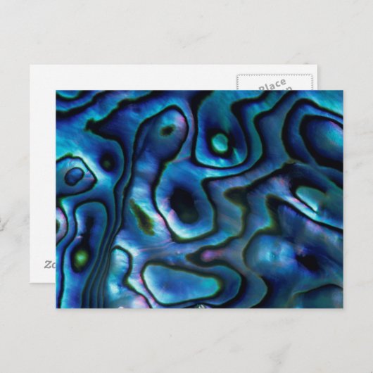 VS, Colorado, Lafayette. Abalone shell Briefkaart (Voorkant / Achterkant)