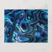 VS, Colorado, Lafayette. Abalone shell Briefkaart (Voorkant)