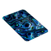 VS, Colorado, Lafayette. Abalone shell Magneet (Rechterzijde)