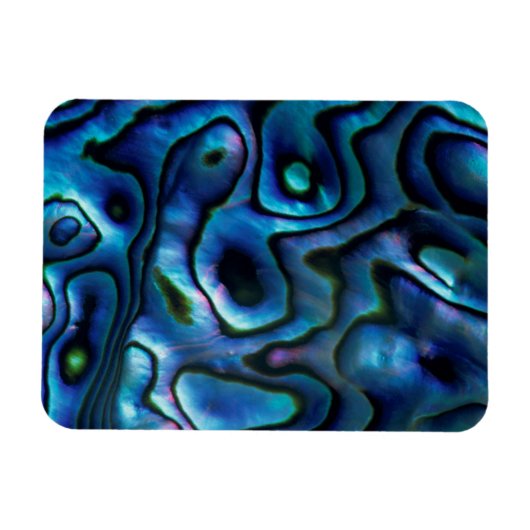 VS, Colorado, Lafayette. Abalone shell Magneet (Horizontaal)