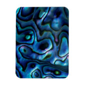 VS, Colorado, Lafayette. Abalone shell Magneet (Verticaal)