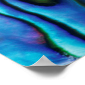 VS, Colorado, Lafayette. Abalone shell Poster (Hoek)