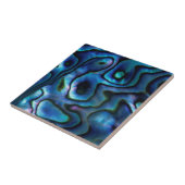 VS, Colorado, Lafayette. Abalone shell Tegeltje (Zijkant)