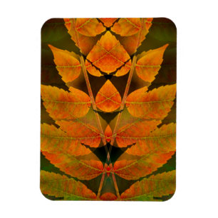 VS, Colorado, Lafayette. Herfst sumak montage Magneet