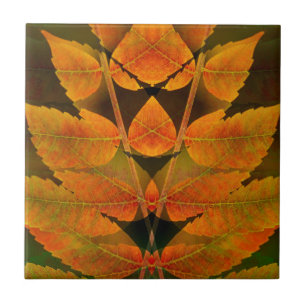 VS, Colorado, Lafayette. Herfst sumak montage Tegeltje