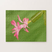 VS, Colorado, Lafayette. Kerstcactus Legpuzzel (Horizontaal)