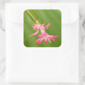 VS, Colorado, Lafayette. Kerstcactus Vierkante Sticker (Tas)