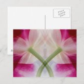 VS, Colorado, Lafayette. Orchidee Briefkaart (Voorkant / Achterkant)