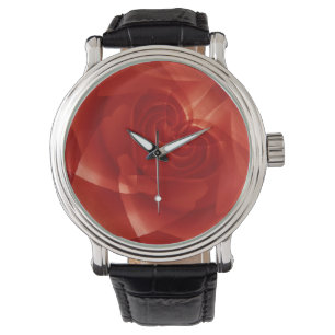 VS, Colorado, Lafayette. Rode roosmontage Horloge