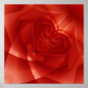 VS, Colorado, Lafayette. Rode rozenmontage Poster