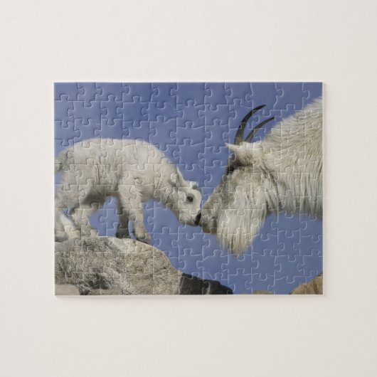 VS, Colorado, Mount Evans. Moeder van een berggeit Legpuzzel (Horizontaal)