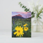VS, Colorado, Mt. Crested Butte Briefkaart (Staand voorkant)