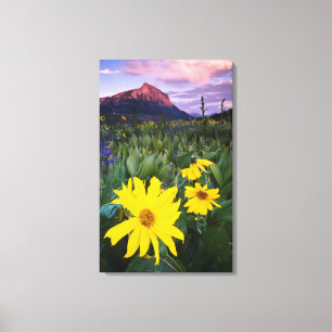 VS, Colorado, Mt. Crested Butte Canvas Afdruk