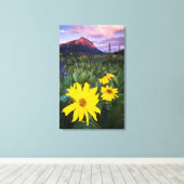 VS, Colorado, Mt. Crested Butte Canvas Afdruk (Insitu (Houten vloer))