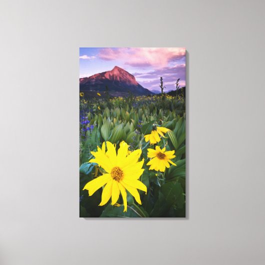 VS, Colorado, Mt. Crested Butte Canvas Afdruk (Voorkant)
