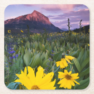 VS, Colorado, Mt. Crested Butte Kartonnen Onderzetters