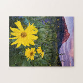 VS, Colorado, Mt. Crested Butte Legpuzzel (Horizontaal)