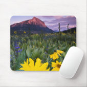 VS, Colorado, Mt. Crested Butte Muismat (Met muis)