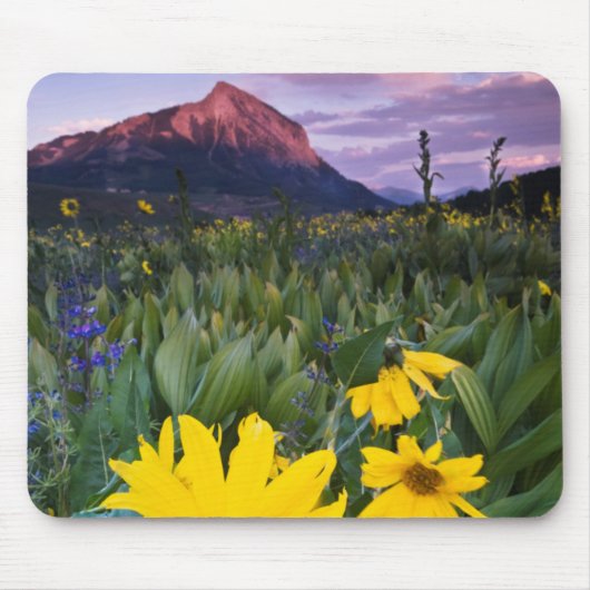 VS, Colorado, Mt. Crested Butte Muismat (Voorkant)