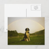 VS, Colorado, New Castle Briefkaart (Voorkant / Achterkant)