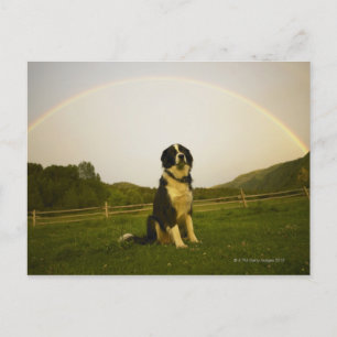 VS, Colorado, New Castle Briefkaart