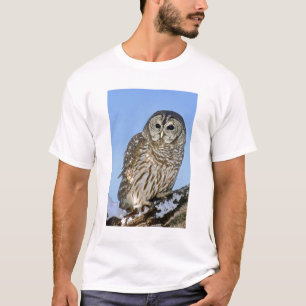 VS, Colorado. Portret van gestreepte uil op tak T-shirt