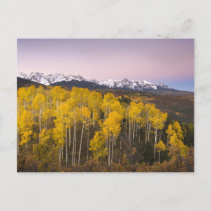 VS, Colorado, Rocky Mountains. Dageraad in de San Briefkaart