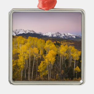VS, Colorado, Rocky Mountains.  Dageraad in de San Metalen Ornament