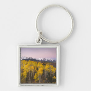 VS, Colorado, Rocky Mountains.  Dageraad in de San Sleutelhanger