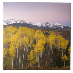 VS, Colorado, Rocky Mountains. Dageraad in de San Tegeltje