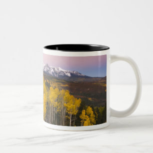 VS, Colorado, Rocky Mountains.  Dageraad in de San Tweekleurige Koffiemok