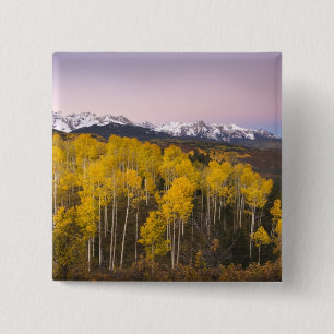VS, Colorado, Rocky Mountains.  Dageraad in de San Vierkante Button 5,1 Cm