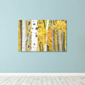 VS, Colorado, Rocky Mountains.  Intieme esp Canvas Afdruk (Insitu (Houten vloer))